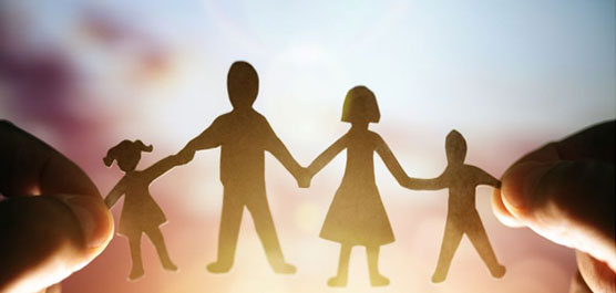 School Contact Programs